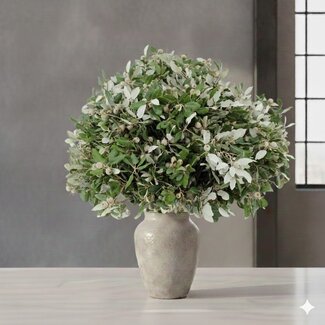 Florimo Fresh Flowers Frische Steineichenäste | 250 Gramm pro Bündel | Länge 65 - 70 Zentimeter | Pro Bündel