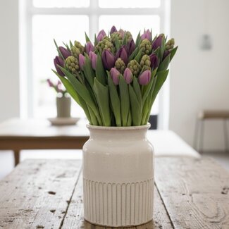 Florimo Fresh Flowers Fresh Bouquet Violet Velvet | Length 40 centimeters | 18 stems | Per Bouquet