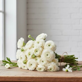 Florimo Fresh Flowers Verse Witte Ranonkels | Lengte 40 centimeter | 10 takken | Per Bos