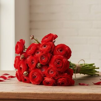 Florimo Fresh Flowers Fresh Red Ranunculus | Length 40 centimeters | 10 stems | Per Bunch