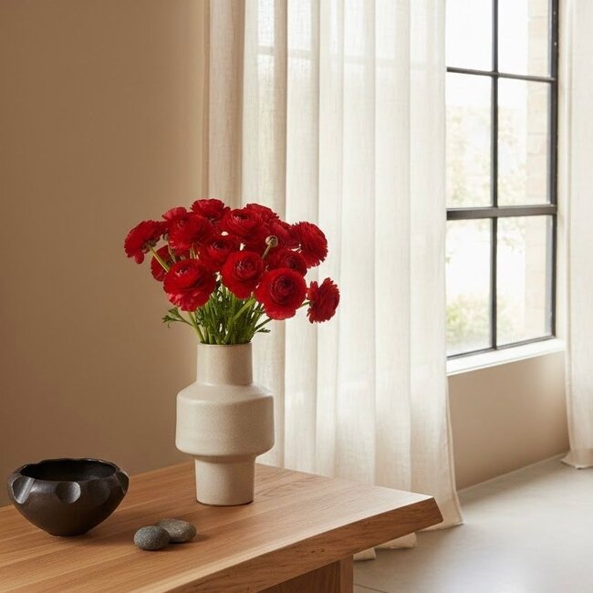 Fresh Red Ranunculus | Length 40 centimeters | 10 stems | Available per 10 stems