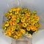 Fresh Yellow Ranunculus | Length 40 centimeters | 10 stems | Available per 10 stems