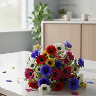 Florimo Fresh Flowers Frischer Anemonen Mix | Länge ± 40 Zentimeter | 50 Stiele | Farbmischung
