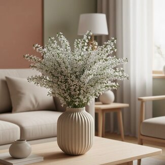 Florimo Fresh Flowers Fresh White Ginster | Length ±65 centimeters | 400 grams | Per bunch