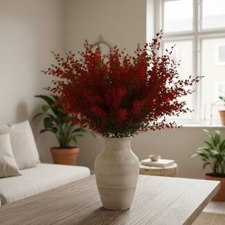 Florimo Fresh Flowers Verse Ginster Rood | Lengte ± 65 centimeter | 400 gram | Per bos