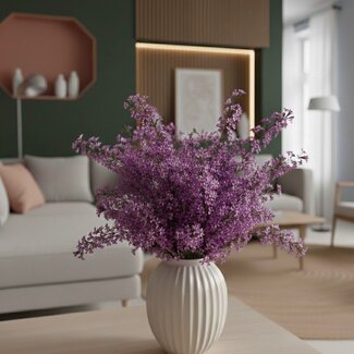 Florimo Fresh Flowers Frischer Lila Ginster | Länge 65 Zentimeter | 400 Gramm | Pro Bund