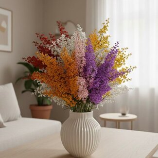 Florimo Fresh Flowers Frischer Ginster Mix | Länge 65 Zentimeter | 6 Bunde