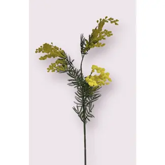 Florimo Fresh Flowers Silk Mimosa | 86 cm | Yellow | Per piece