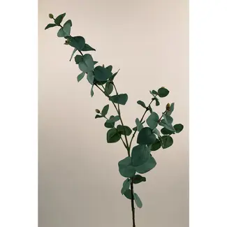 Florimo Fresh Flowers Zijden Eucalyptus | 86 cm | Groen/Grijs | Per stuk