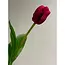 Florimo Fresh Flowers Silk Tulip | 48 cm | Pink | Per piece