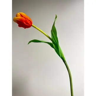 Florimo Fresh Flowers Seiden-Tulpe | 48 cm | Orange | Pro Stück