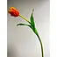 Florimo Fresh Flowers Seiden-Tulpe | 48 cm | Orange | Pro Stück