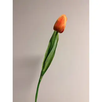 Florimo Fresh Flowers Zijde Tulp | 35 cm | Oranje | Per stuk
