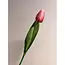 Florimo Fresh Flowers Zijden Tulp | 35 cm | Licht-Roze | Per stuk