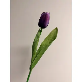 Florimo Fresh Flowers Seiden-Tulpe | 35 cm | Lila | Pro Stück