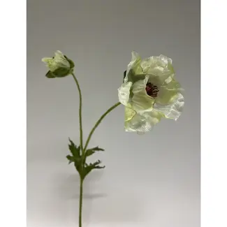 Florimo Fresh Flowers Seiden-Mohnblume | 66 cm | Weiß | Pro Stück