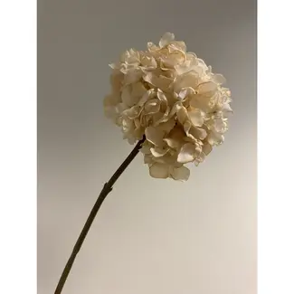 Florimo Fresh Flowers Silk Hydrangea | 83 cm | Cream | Per piece