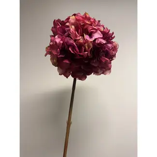 Florimo Fresh Flowers Seiden-Hortensie | 83 cm | Fuchsia | Pro Stück