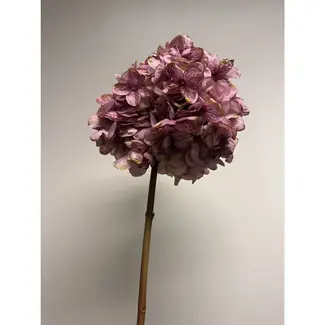 Florimo Fresh Flowers Seiden-Hortensie | 83 cm | Lila | Pro Stück