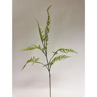 Florimo Fresh Flowers Zijden Varentak | 86 cm | Groen | Per stuk