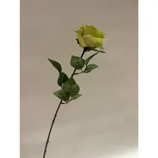 Florimo Fresh Flowers Silk Rose | 66 cm | Green | Per piece