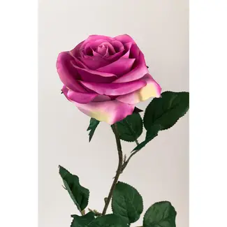 Florimo Fresh Flowers Silk Rose | 66 cm | Pink | Per piece