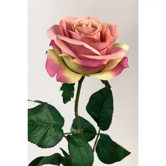 Florimo Fresh Flowers Silk Rose | 66 cm | Light Pink | Per piece