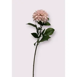 Florimo Fresh Flowers Silk Dahlia | 70 cm | Light Pink | Per piece