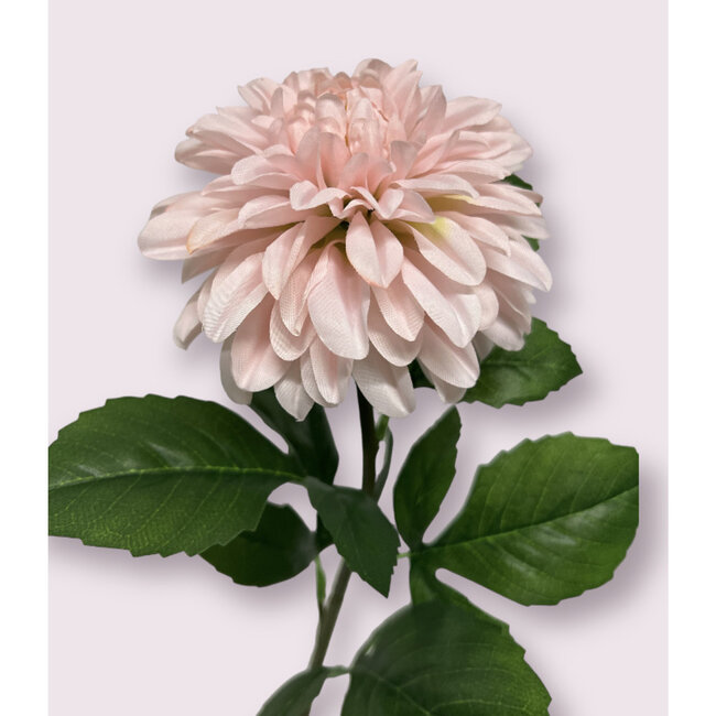 Luxus Seiden-Dahlie Hellrosa | Realistische Kunstblume | 70 cm hoch | Pro Stück erhältlich