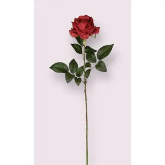 Florimo Fresh Flowers Seiden-Rose | 75 cm | Rot | Pro Stück