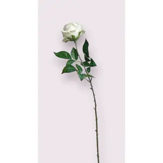 Florimo Fresh Flowers Silk Rose | 75 cm | White | Per piece
