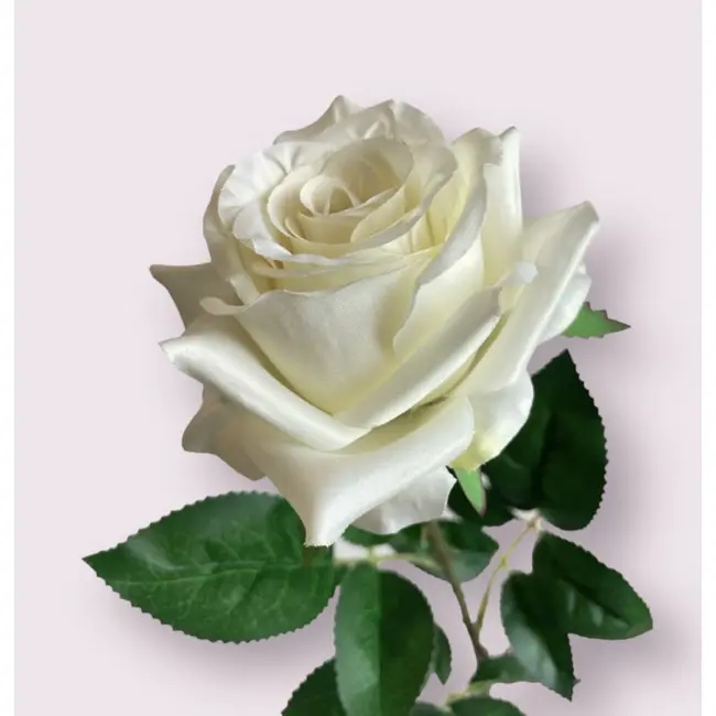 Luxury Silk Rose White | Realistic Artificial Rose | 75 cm tall | Per piece