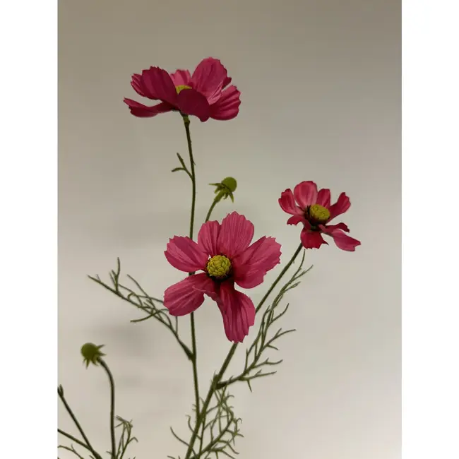 Luxury Silk Cosmos Fuchsia | Realistic Artificial Flower | 72 cm tall | Available per piece