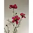 Luxury Silk Cosmos Fuchsia | Realistic Artificial Flower | 72 cm tall | Available per piece