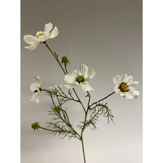 Luxury Silk Cosmos White | Realistic Artificial Flower | 72 cm tall | Available per piece