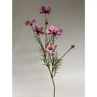 Florimo Fresh Flowers Zijden Cosmea | 72 cm | Roze | Per stuk