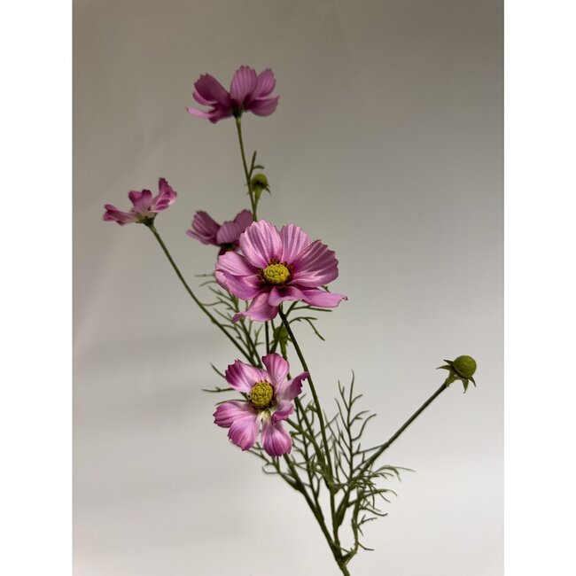 Luxus Seiden-Cosmea Rosa | Realistische Kunstblume | 72 cm hoch | Pro Stück erhältlich