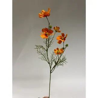 Florimo Fresh Flowers Silk Cosmos | 72 cm | Orange | Per piece