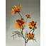 Luxus Seiden-Cosmea Orange | Realistische Kunstblume | 72 cm hoch | Pro Stück erhältlich