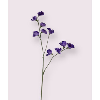 Florimo Fresh Flowers Seiden-Lathyrus | 64 cm | Lila | Pro Stück