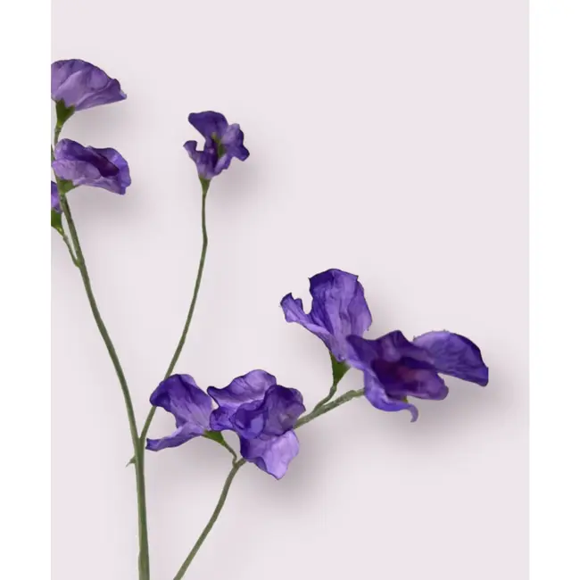 Luxus Seiden-Lathyrus Lila | Realistische Kunstblume | 64 cm hoch | Pro Stück erhältlich