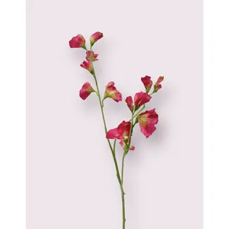 Florimo Fresh Flowers Silk Lathyrus | 64 cm | Pink | Per piece