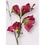 Luxury Silk Lathyrus Pink | Realistic Artificial Flower | 64 cm tall | Available per piece