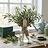 Fresh Olive Branches