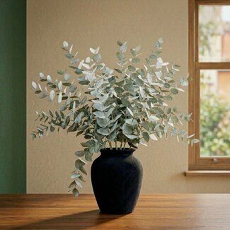 Florimo Fresh Flowers Frischer Eucalyptus Cinerea | 350 - 400 Gramm pro Strauß | Länge 65 - 70 Zentimeter | Pro Strauß