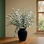 Florimo Fresh Flowers Frischer Eucalyptus Cinerea | 350 - 400 Gramm pro Strauß | Länge 65 - 70 Zentimeter | Pro Strauß