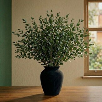 Florimo Fresh Flowers Frischer Eucalyptus Parvifolia | 350 - 400 Gramm pro Strauß | Länge 65 - 70 Zentimeter | Pro Strauß