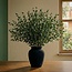 Florimo Fresh Flowers Fresh Eucalyptus Parvifolia | 350 - 400 grams per bunch | Length 65 - 70 centimetres | Per bunch