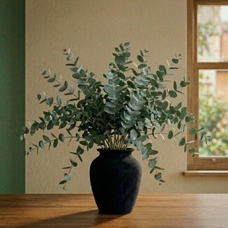 Florimo Fresh Flowers Fresh Eucalyptus Gunnii | 300 grams per bunch | Length 65 - 70 centimetres | Per bunch