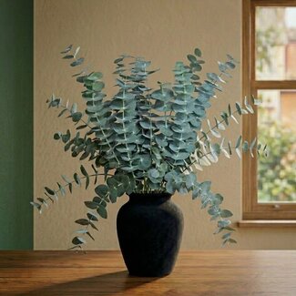 Florimo Fresh Flowers Verse Eucalyptus Baby Blue | 350 - 400 gram per bos | Lengte 65 - 70 centimeter | Per bos